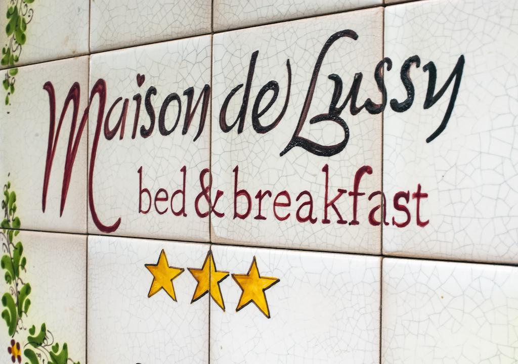 Maison De Lussy 피아차암머리나 외부 사진